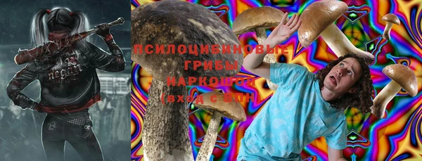 дурь Белоозёрский